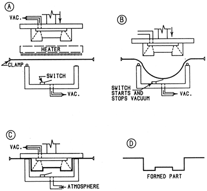 Snap-Back Vacuumforming - Male